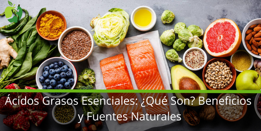 Ácidos Grasos Esenciales: Qué Son, Beneficios y Fuentes Naturales