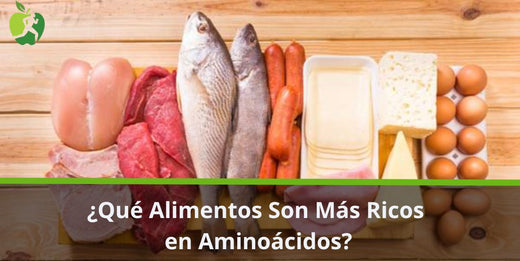 Qué Alimentos Son Más Ricos en Aminoácidos