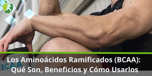 Los Aminoácidos Ramificados (BCAA): Qué Son, Beneficios y Cómo Usarlos