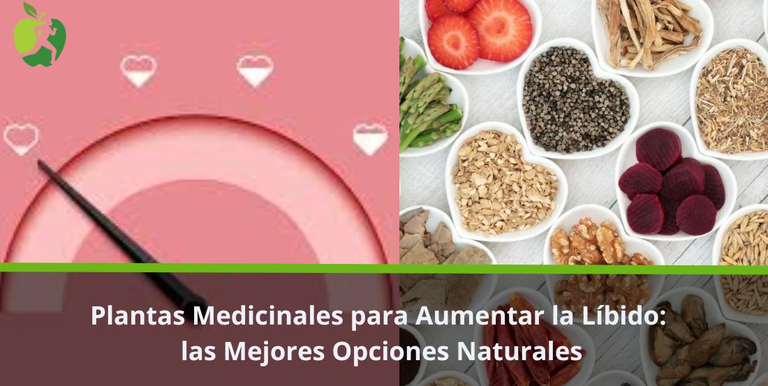 Plantas Medicinales para Aumentar la Líbido: las Mejores Opciones Naturales