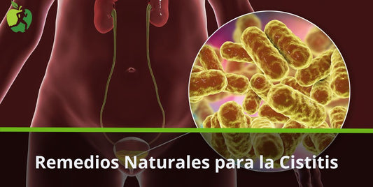 Remedios Naturales para la Cistitis: Alivio Herbal y Más