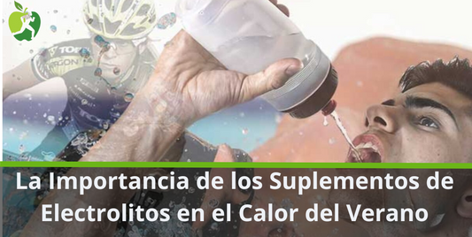 La Importancia de los Suplementos de Electrolitos en el Calor del Verano