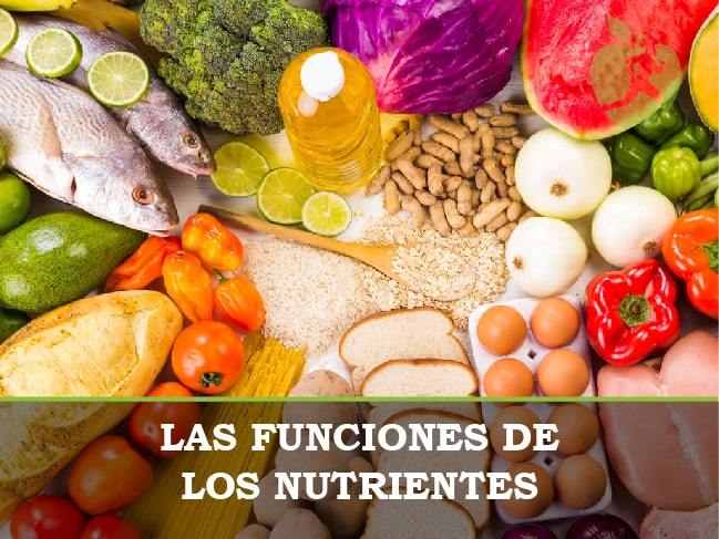 Cuáles son las funciones de los nutrientes? - Dietetica Ferrer