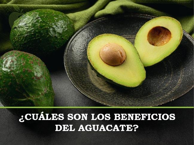 ¿Cuáles son los beneficios del aguacate?