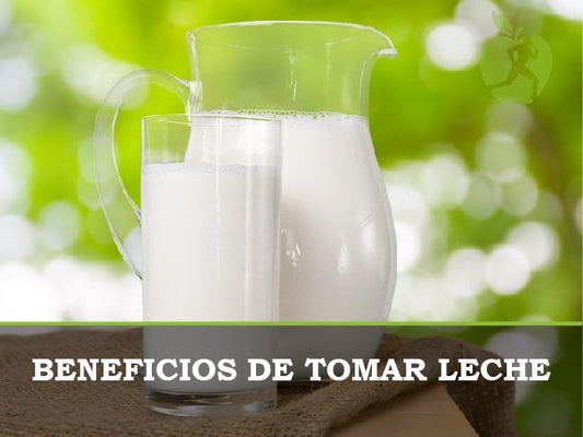 ¿Es mala la leche de vaca para el organismo?