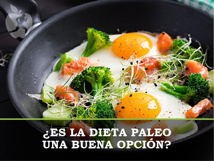 ¿qué Es La Dieta Paleolítica Y En Qué Consiste Dietetica Ferreremk 9873