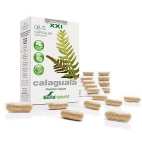 Calaguala Xxi 30 Capsulas | Soria Natural - Dietetica Ferrer