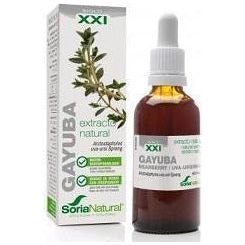 Extracto de Gayuba Siglo XXI 50 ml | Soria Natural - Dietetica Ferrer